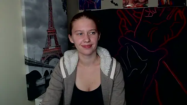 StellaCRL webcam