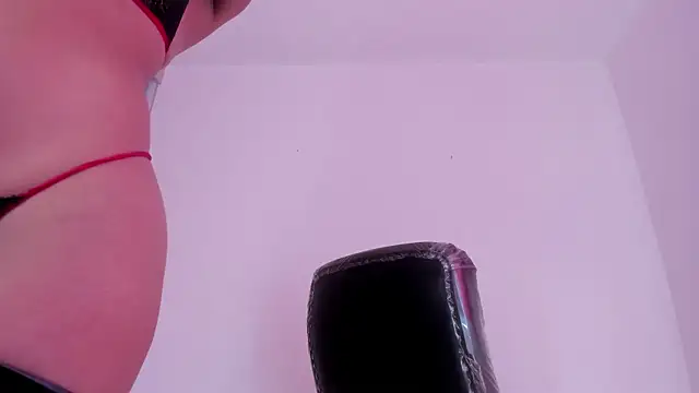 barbie_ds