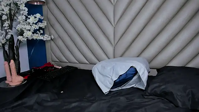 Ibbie_drastic webcam
