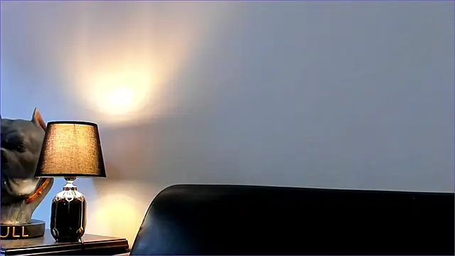 BradLeon_ webcam