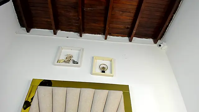 dakota_stream webcam