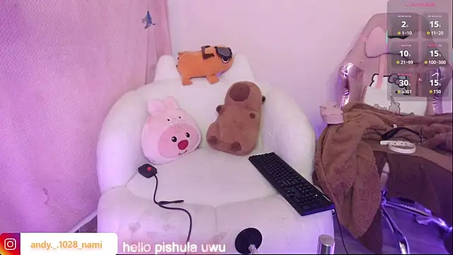 Nami_usagi webcam