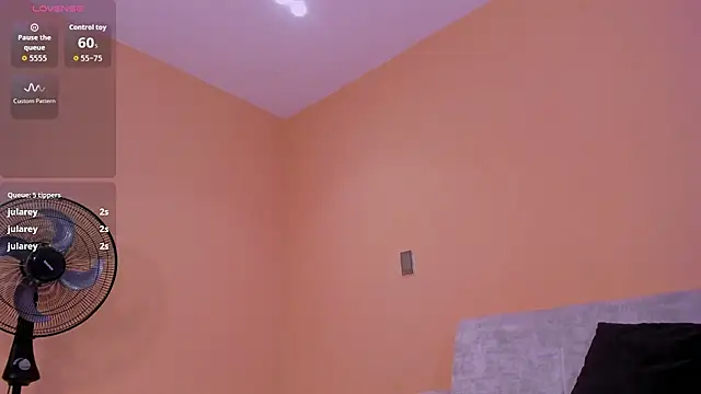 aronandluna webcam
