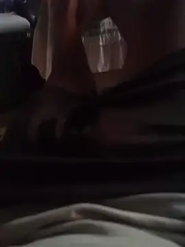 Thaps_deDick webcam