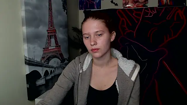 StellaCRL webcam