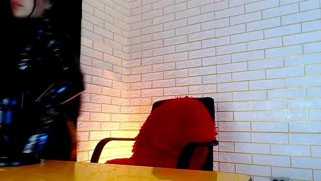NYX1126 webcam