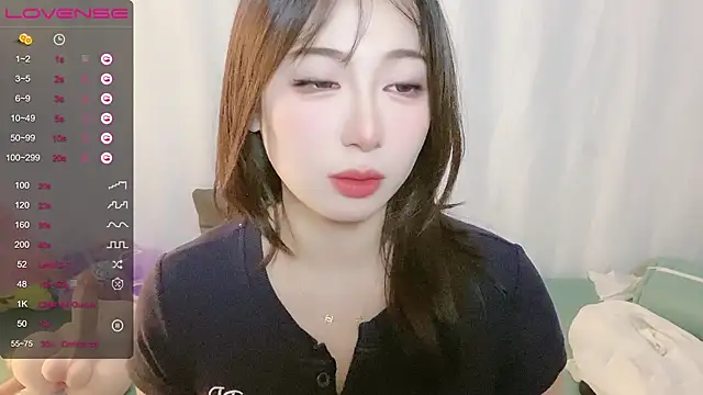 A_SR_001 webcam