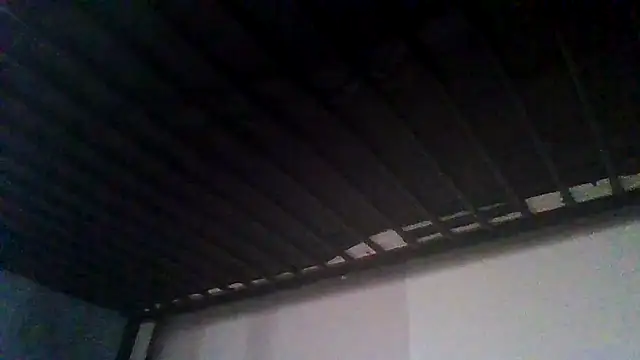 ReallyReallyReal webcam