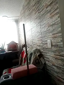 Skylar-Vox- webcam
