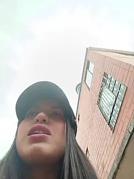 SALOME-28_ webcam
