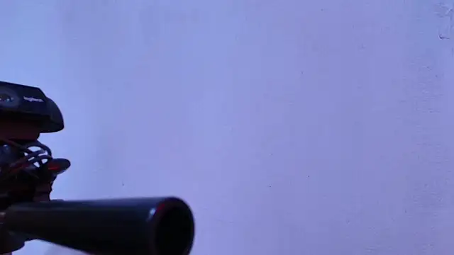 Eda_Bonne webcam