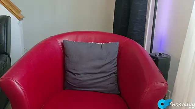 Thekodyy webcam