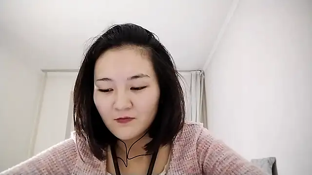 Lyndasilk webcam