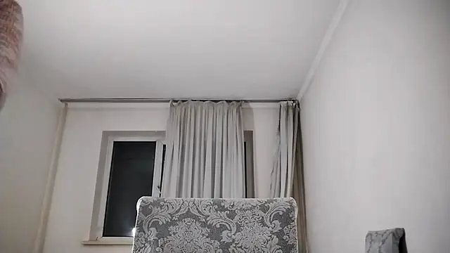 Lyndasilk webcam