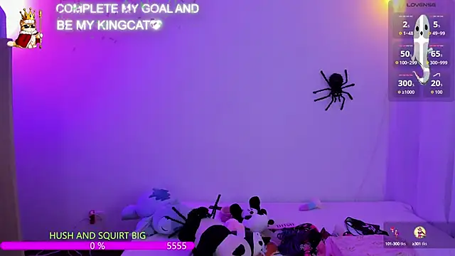 catha_cat webcam