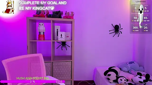 catha_cat webcam