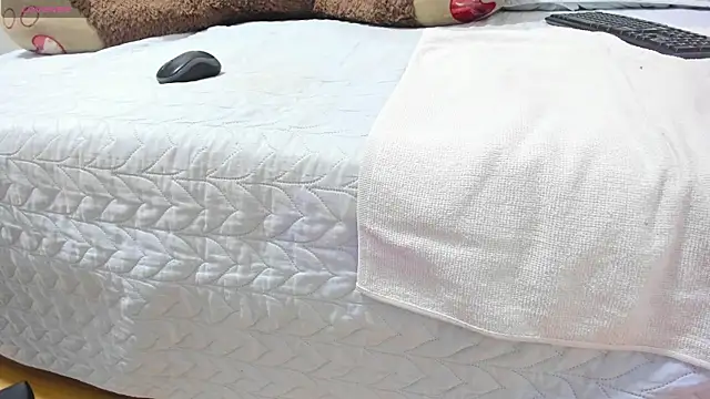 lapitti webcam