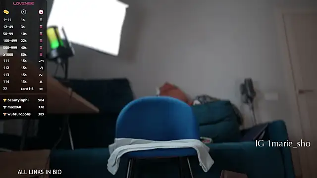 LAUREL_HAZEL webcam