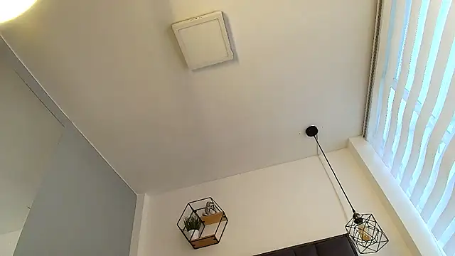 ADONIS_ART01 webcam