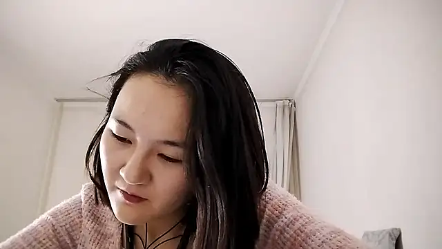 Lyndasilk webcam