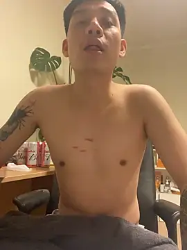 latava webcam
