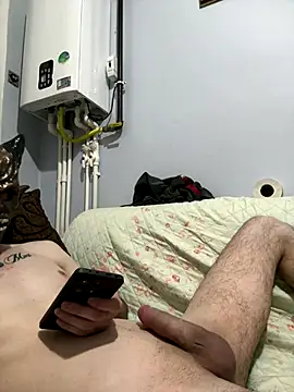 PalmedDwelling webcam