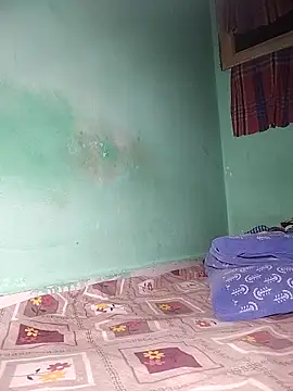 DELHI_8inch_BBC webcam
