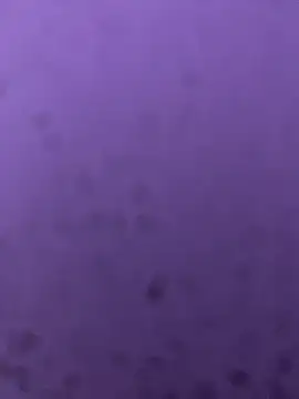 Mallumalayalm webcam