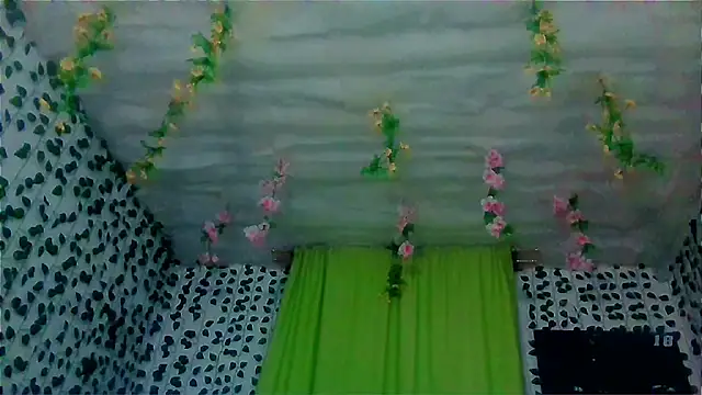 Andy_gray webcam