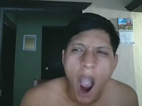 coppel webcam