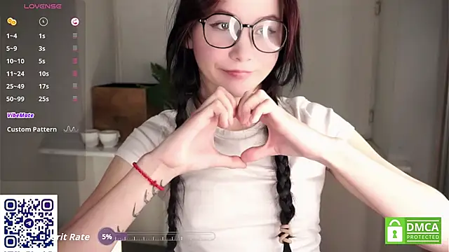 DelphaDivenere webcam