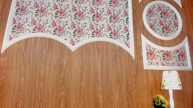 Kaidapunk webcam