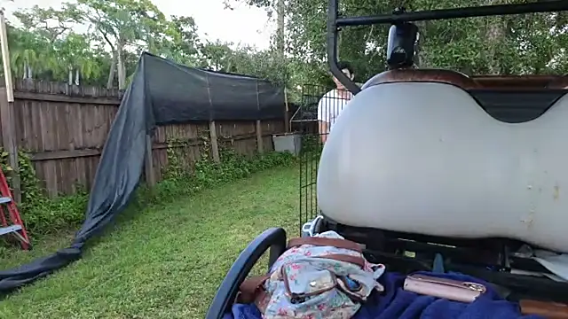 Vickiebee webcam