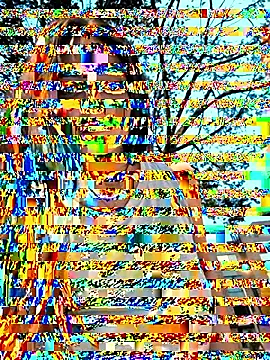 Sam_Sara