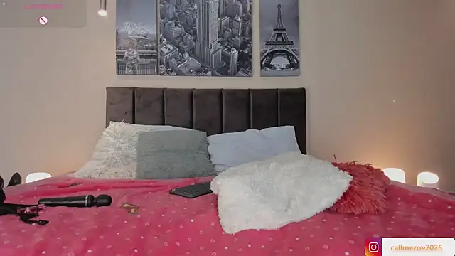 Zoe-S webcam