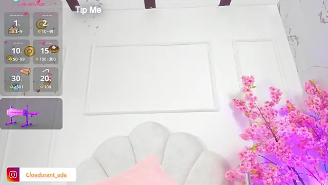 Cloedurant webcam