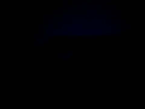 Feistysausage webcam