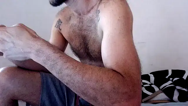 b1520 webcam