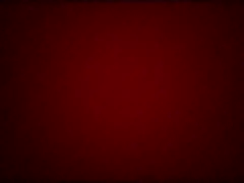 brcn_fun webcam