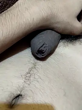 saneer69tew webcam