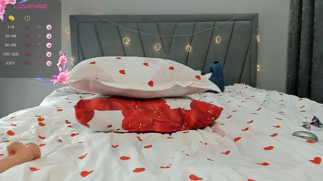 qimiiqo webcam