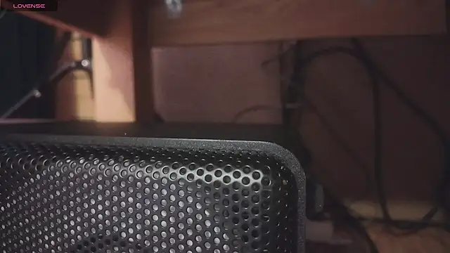 THE_SECRET_SNACK webcam