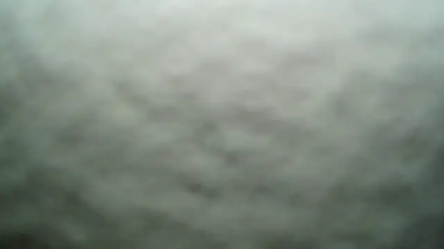 BrindyMichell webcam