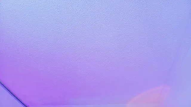 Megan_ale webcam