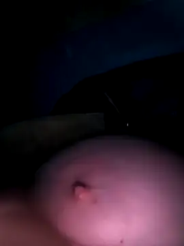 poussychats webcam