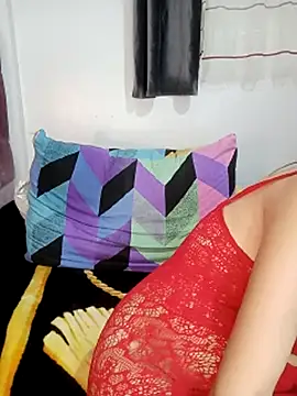 Orlasx webcam