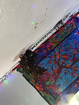 Buffshagswell webcam