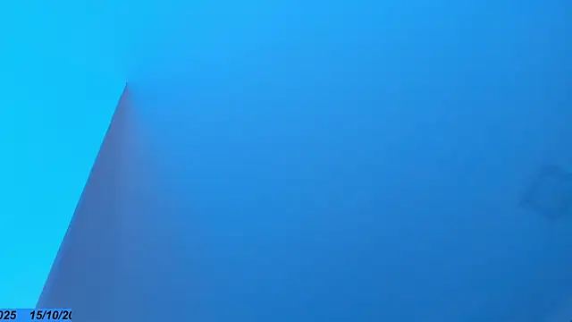 Sebax_Young webcam