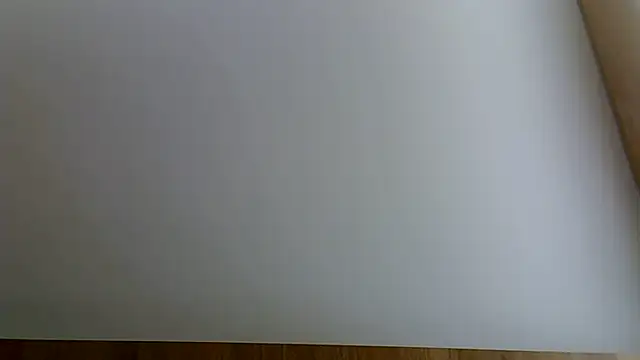 SkinnyKitten webcam