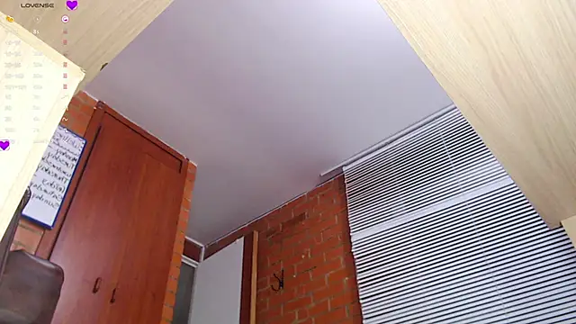 Salome-sw webcam